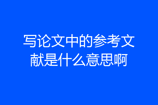 写论文中的参考文献是什么意思啊