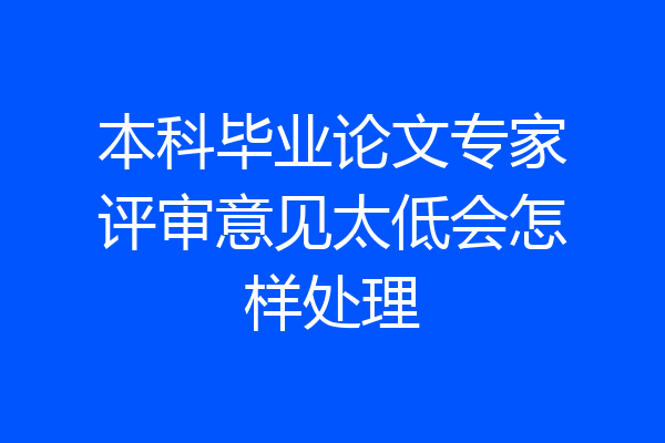 本科毕业论文专家评审意见太低会怎样处理