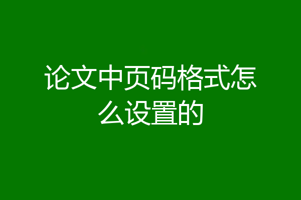 论文中页码格式怎么设置的