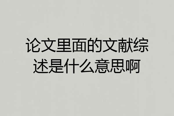 论文里面的文献综述是什么意思啊