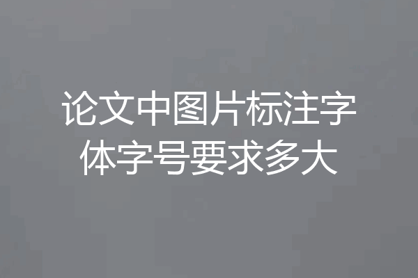 论文中图片标注字体字号要求多大
