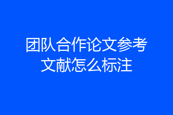 团队合作论文参考文献怎么标注