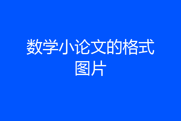 数学小论文的格式图片