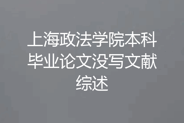 上海政法学院本科毕业论文没写文献综述