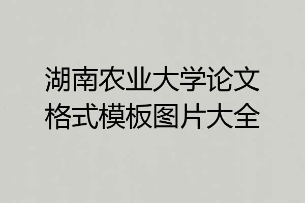 湖南农业大学论文格式模板图片大全