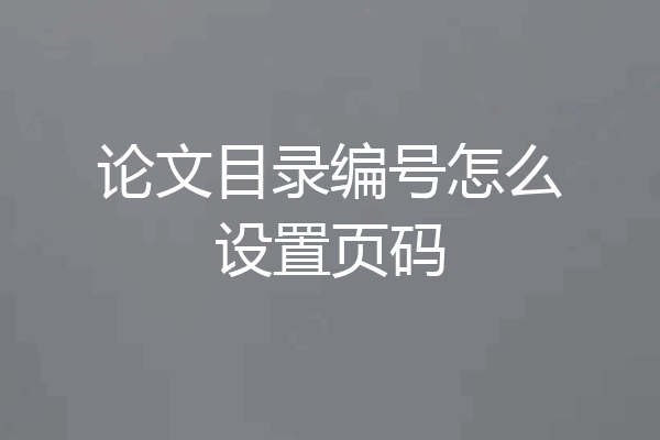 论文目录编号怎么设置页码