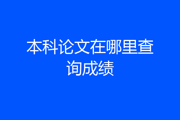 本科论文在哪里查询成绩