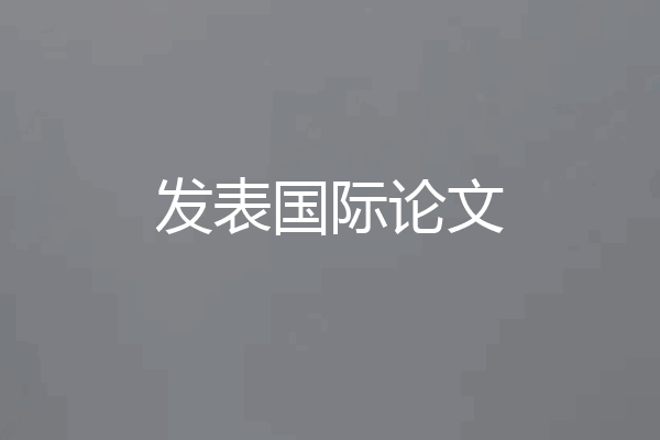 发表国际论文