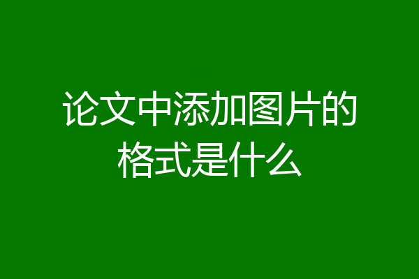 论文中添加图片的格式是什么