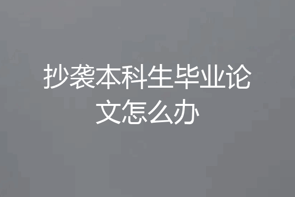 抄袭本科生毕业论文怎么办