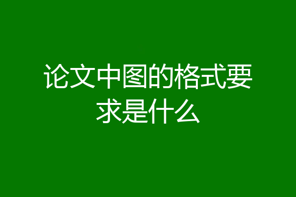 论文中图的格式要求是什么