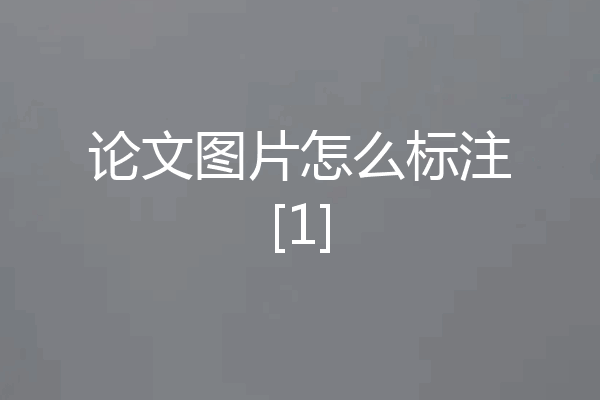 论文图片怎么标注[1]