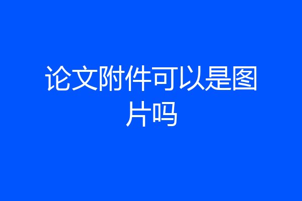 论文附件可以是图片吗