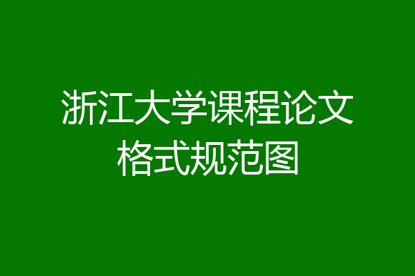 浙江大学课程论文格式规范图