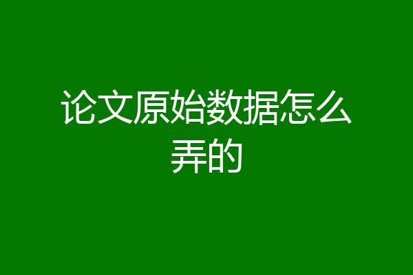 论文原始数据怎么弄的