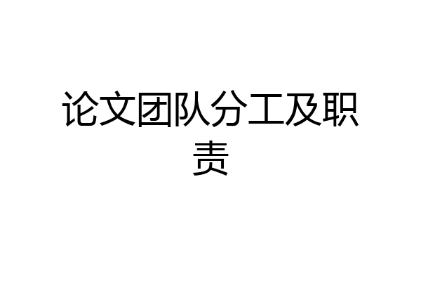 论文团队分工及职责