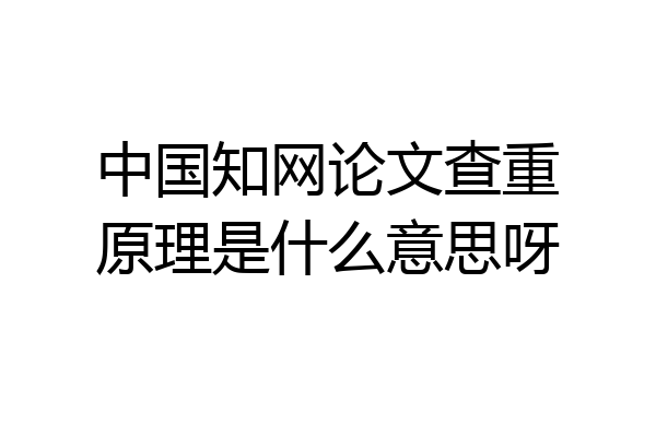 中国知网论文查重原理是什么意思呀