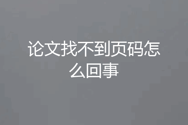 论文找不到页码怎么回事