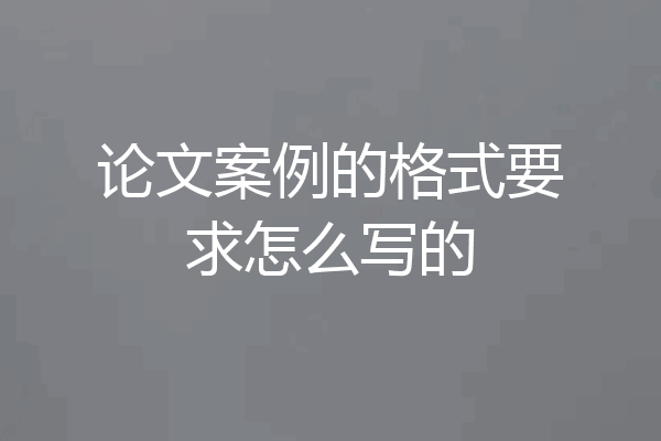 论文案例的格式要求怎么写的