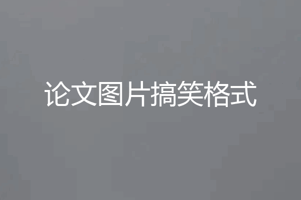 论文图片搞笑格式