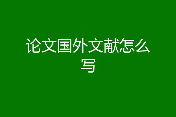 论文国外文献怎么写