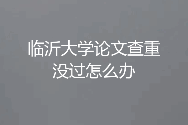 临沂大学论文查重没过怎么办