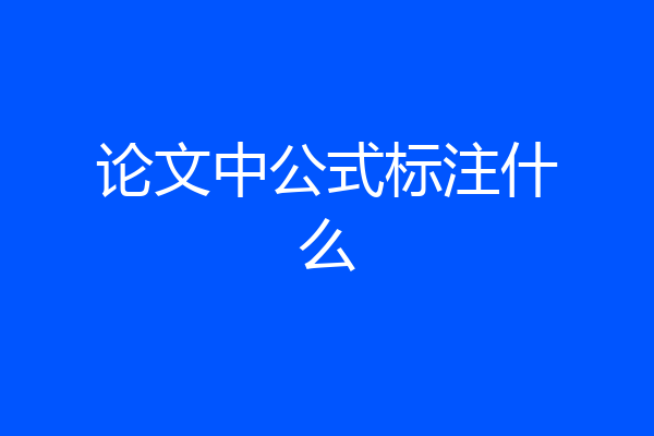 论文中公式标注什么