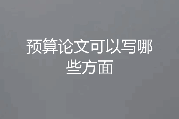 预算论文可以写哪些方面