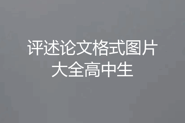 评述论文格式图片大全高中生