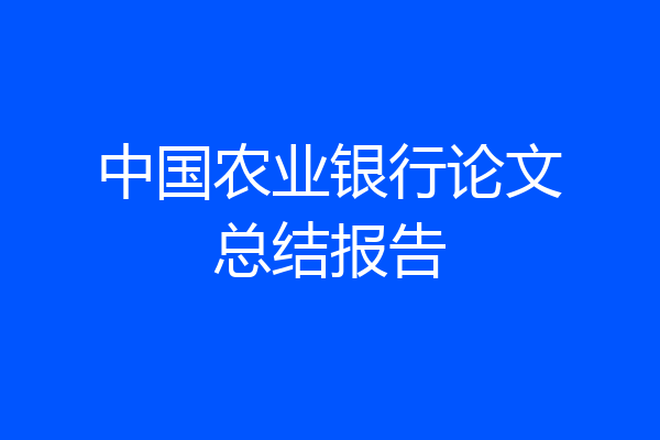 中国农业银行论文总结报告