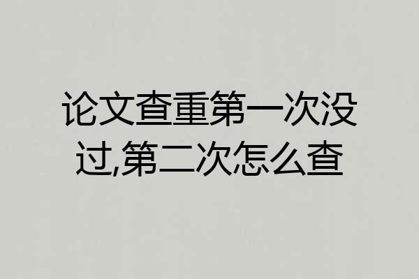 论文查重第一次没过,第二次怎么查
