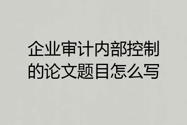 企业审计内部控制的论文题目怎么写