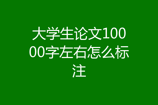 大学生论文10000字左右怎么标注