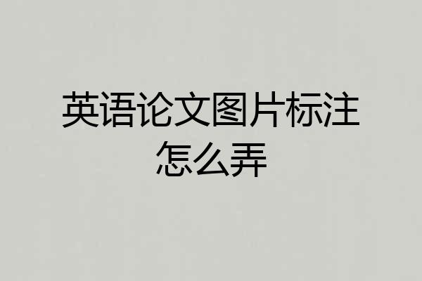 英语论文图片标注怎么弄