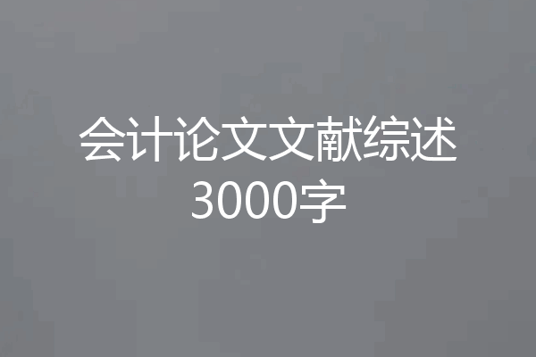 会计论文文献综述3000字