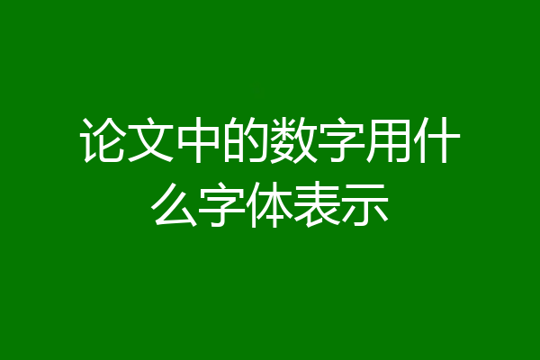 论文中的数字用什么字体表示