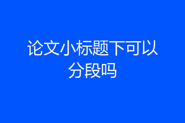论文小标题下可以分段吗