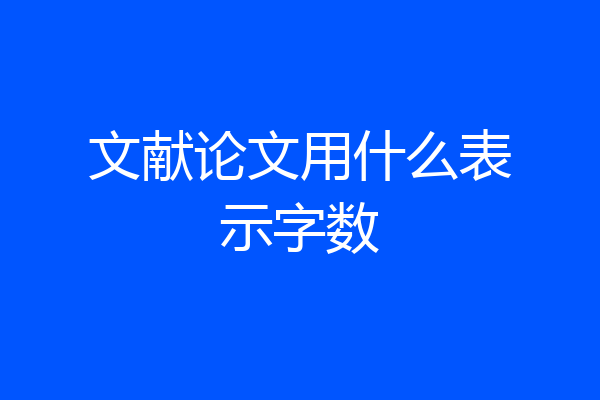 文献论文用什么表示字数