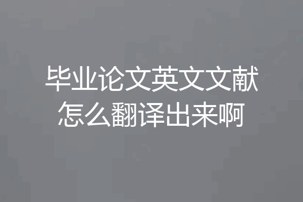 毕业论文英文文献怎么翻译出来啊