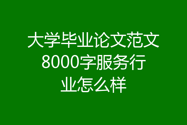 大学毕业论文范文8000字服务行业怎么样