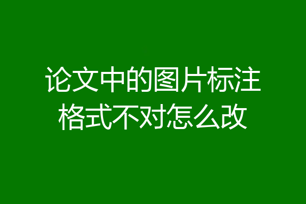 论文中的图片标注格式不对怎么改