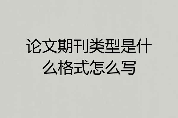 论文期刊类型是什么格式怎么写