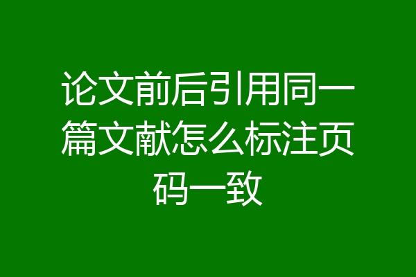 论文前后引用同一篇文献怎么标注页码一致