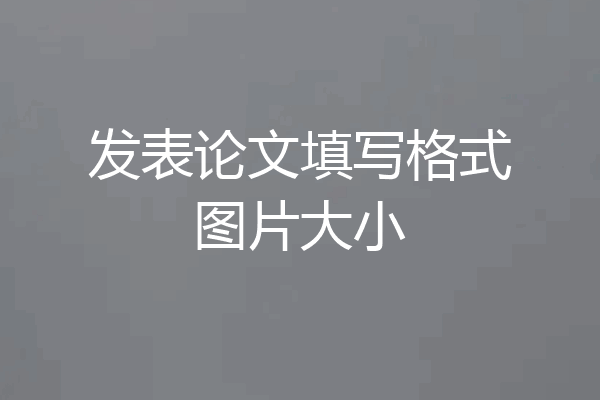 发表论文填写格式图片大小