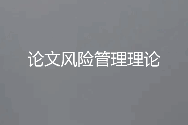 论文风险管理理论
