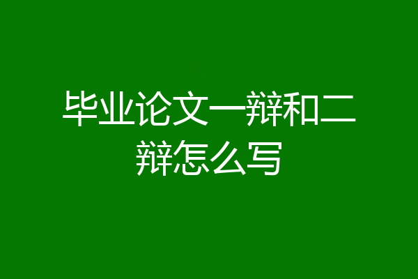 毕业论文一辩和二辩怎么写