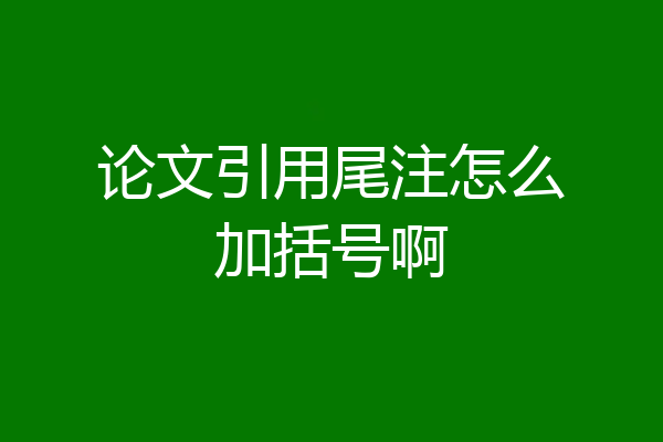 论文引用尾注怎么加括号啊