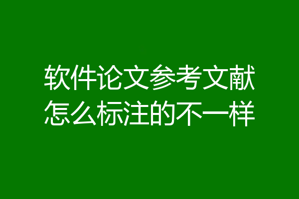 软件论文参考文献怎么标注的不一样