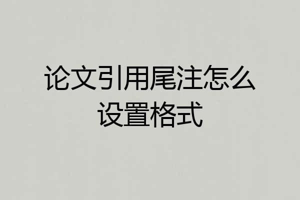 论文引用尾注怎么设置格式