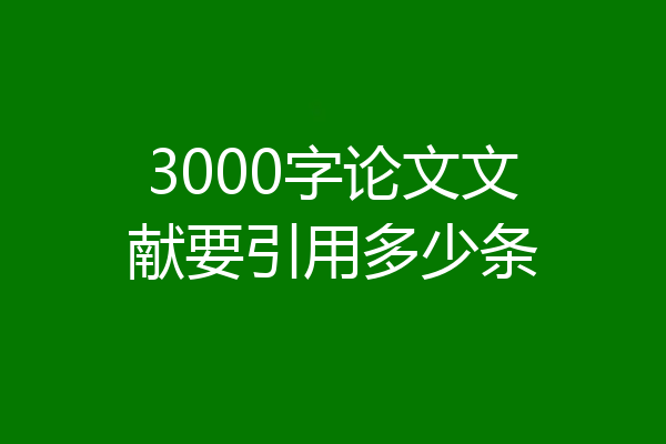 3000字论文文献要引用多少条